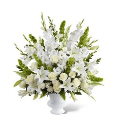 The FTD Morning Stars(tm) Arrangement from Parkway Florist in Pittsburgh PA